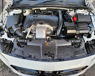 2018 Holden COMMODORE - Thumbnail